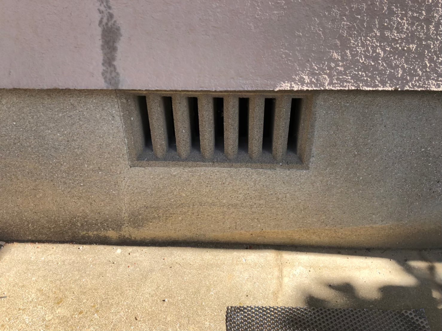 福岡県大野城市　ネズミによる被害　M様邸　駆除実績