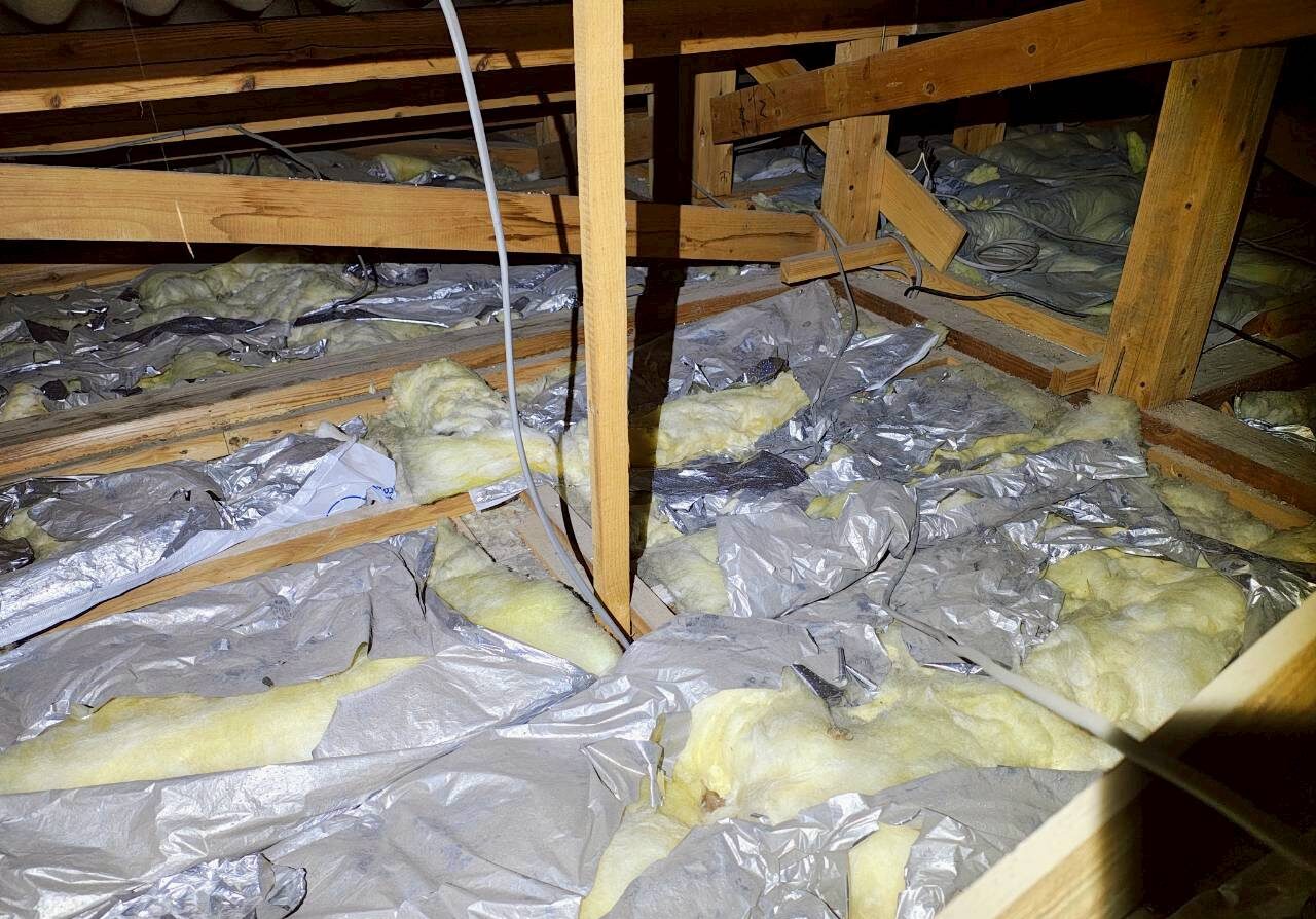 佐賀県唐津市　アライグマによる被害　E様邸　駆除実績