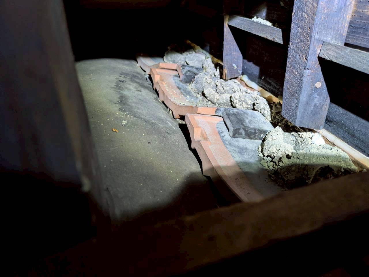 大分県別府市　イタチによる被害　E様邸　契約書