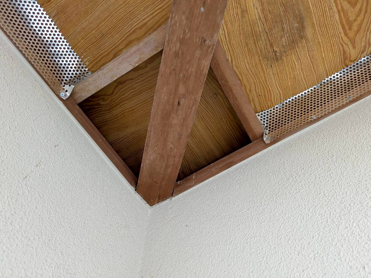 長崎県川棚町　アライグマによる被害　U様邸　駆除実績