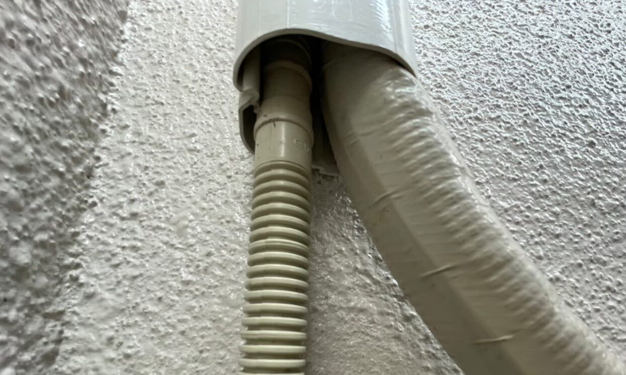 コウモリによる被害　Y様邸　駆除実績