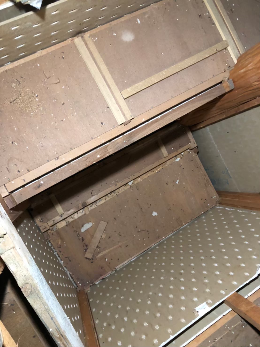 イタチ・ネズミによる被害　M様邸　駆除実績