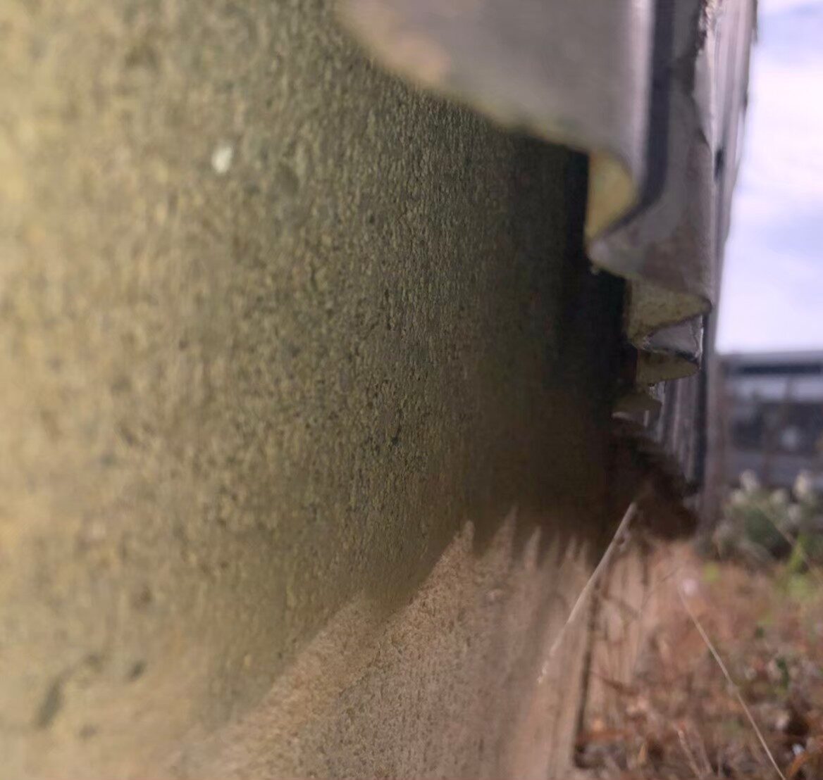 イタチによる被害　T様邸　駆除実績