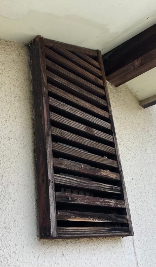 イタチによる被害　S様邸　駆除実績