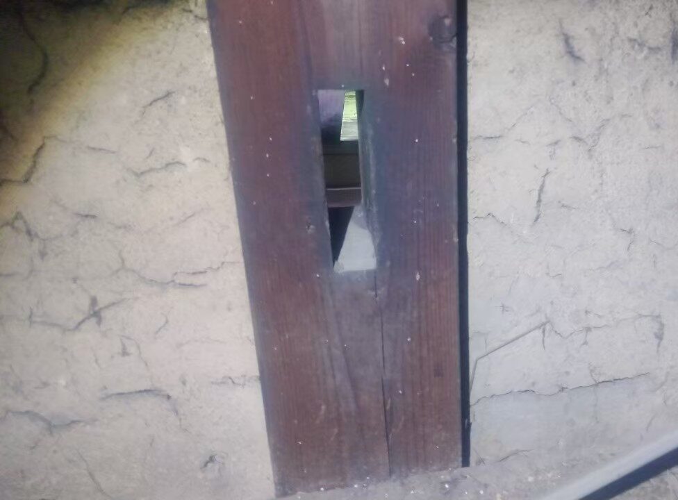 福岡県久留米市　イタチによる被害　T様邸　駆除実績