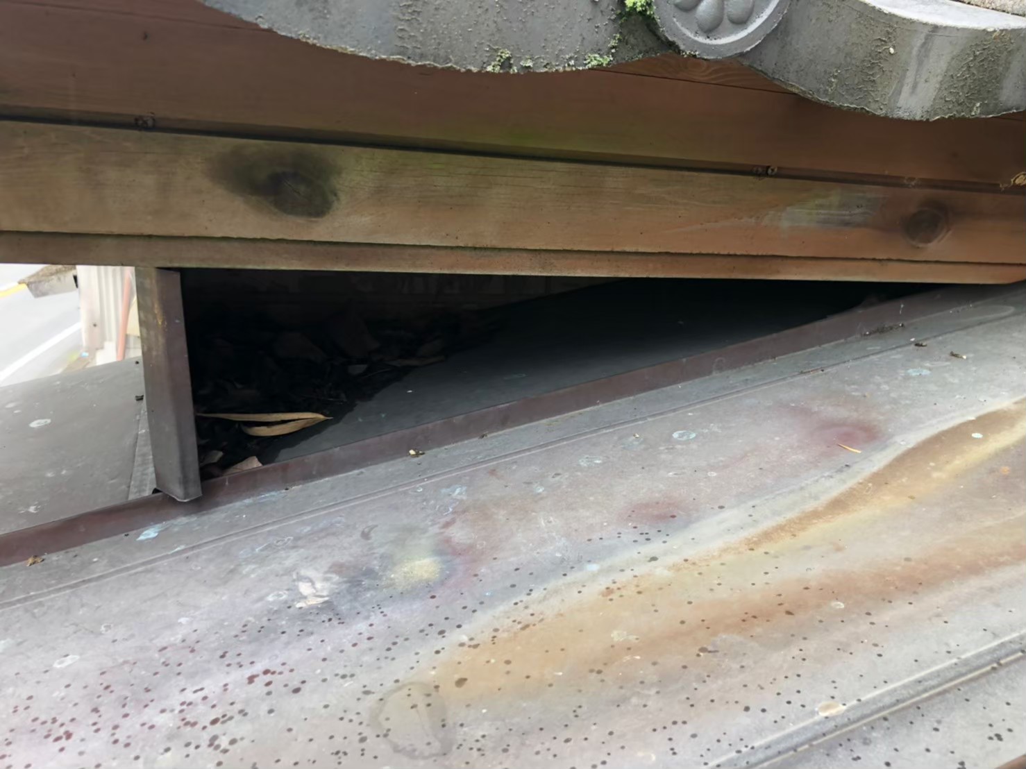 佐賀県佐賀市　イタチによる被害　S様邸　駆除実績