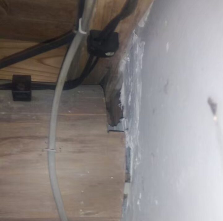 福岡市飯塚市　アライグマによる被害　S様邸　駆除実績