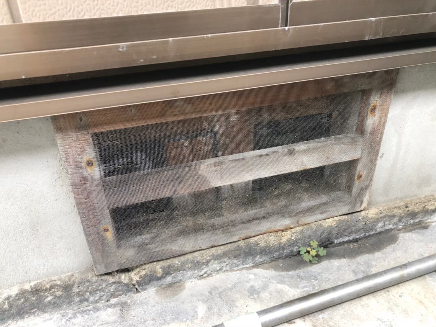 福岡県大牟田市　ネズミによる被害　N様邸　駆除実績