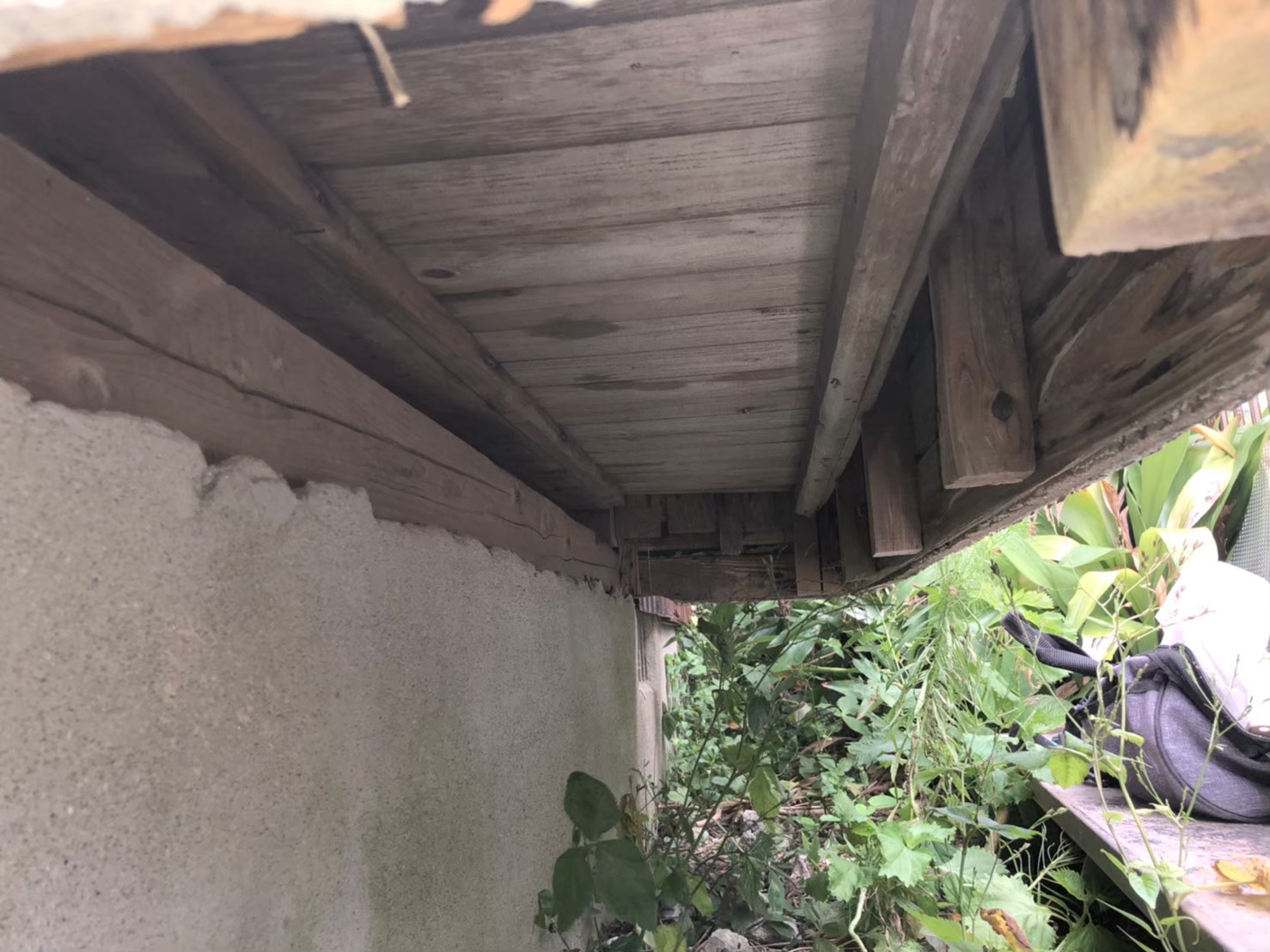 佐賀県唐津市　イタチによる被害　M様邸　駆除実績