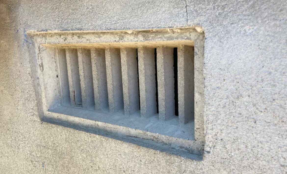 ハクビシンによる被害　F様邸　駆除実績