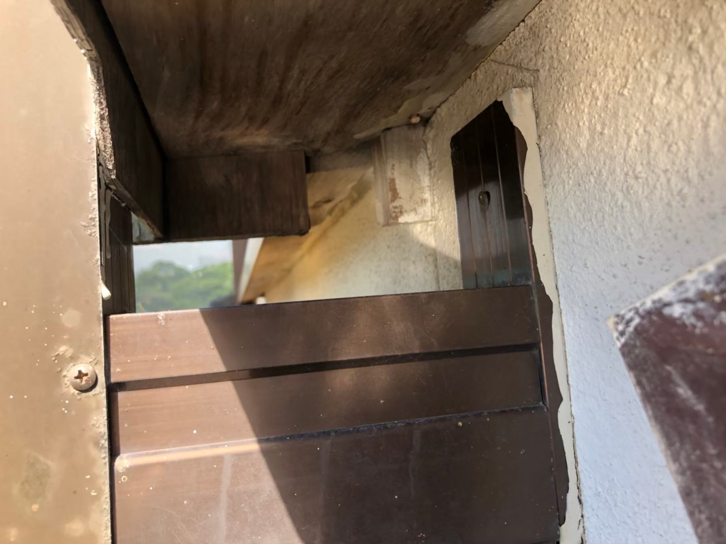 福岡県 久留米市　ネズミによる被害　N様邸　駆除実績