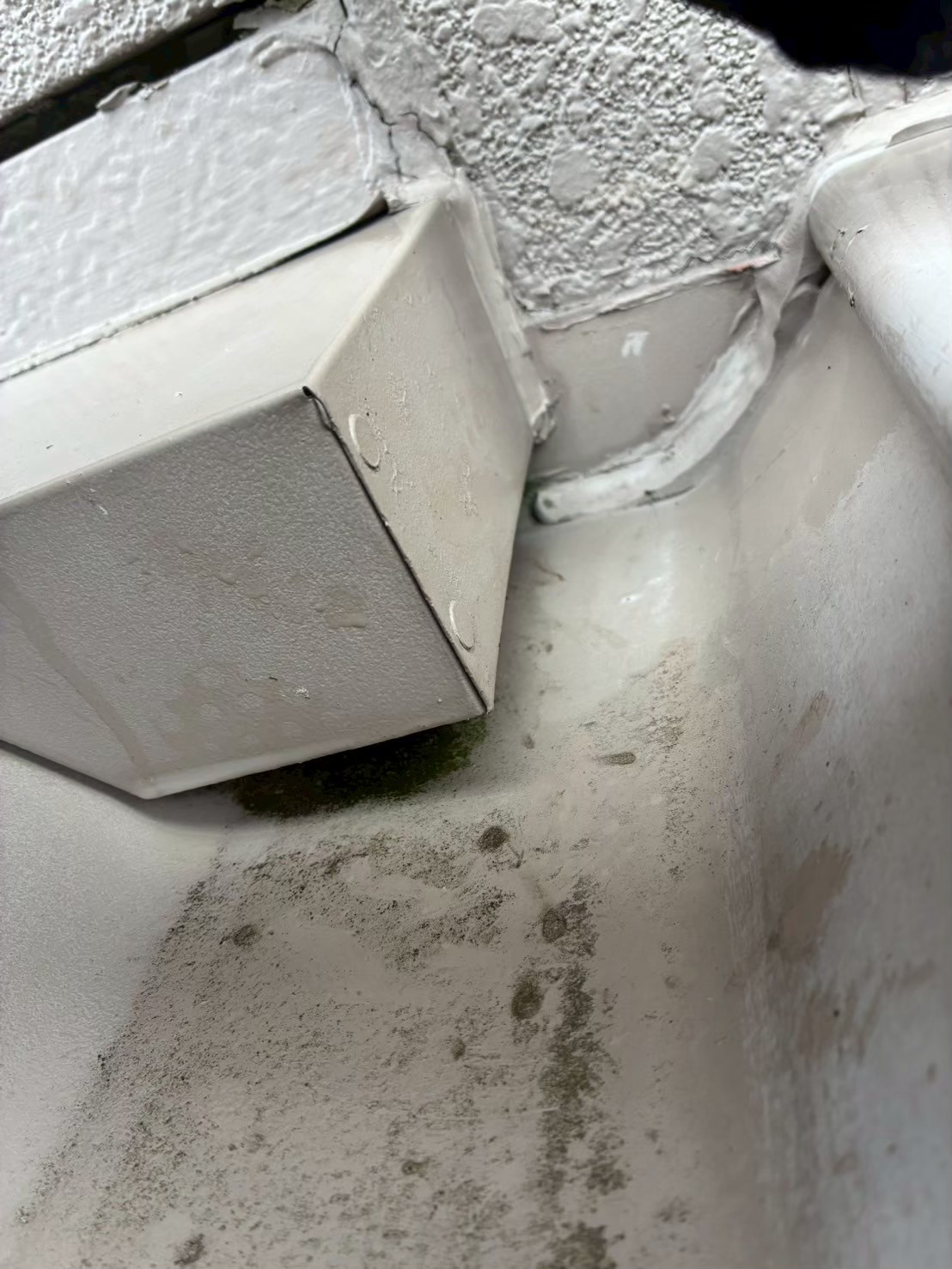 佐賀県多久市　ネズミによる被害　T様邸　駆除実績