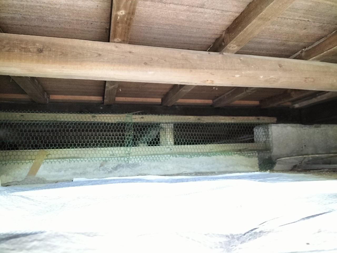 佐賀県多久市　アライグマによる被害　U様邸　駆除実績