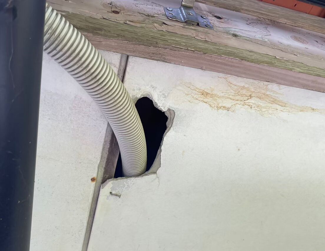 福岡県糟屋郡篠栗町　ネズミによる被害　Y様邸　駆除実績