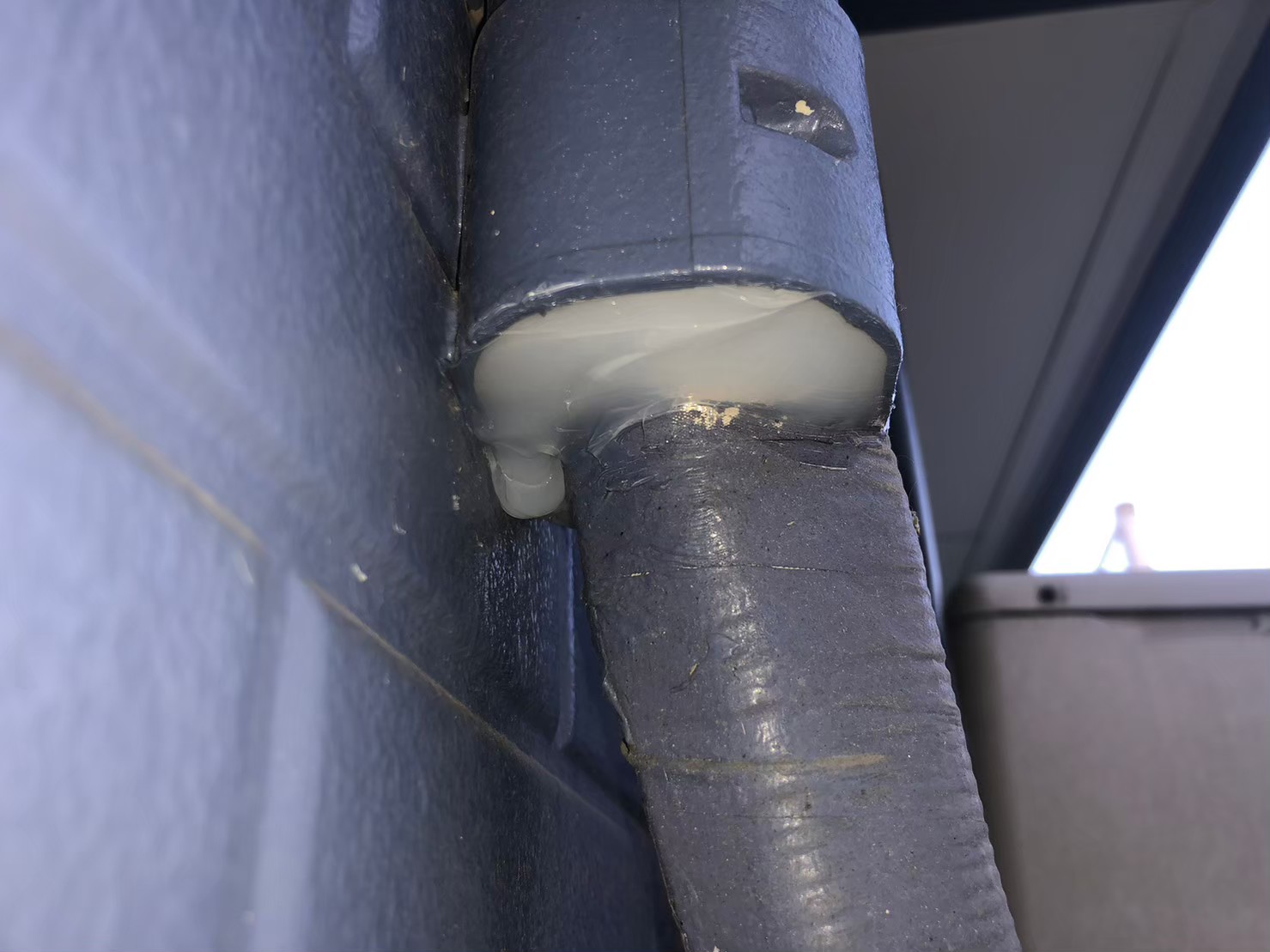 福岡県久留米市　ネズミによる被害　H様邸　駆除実績