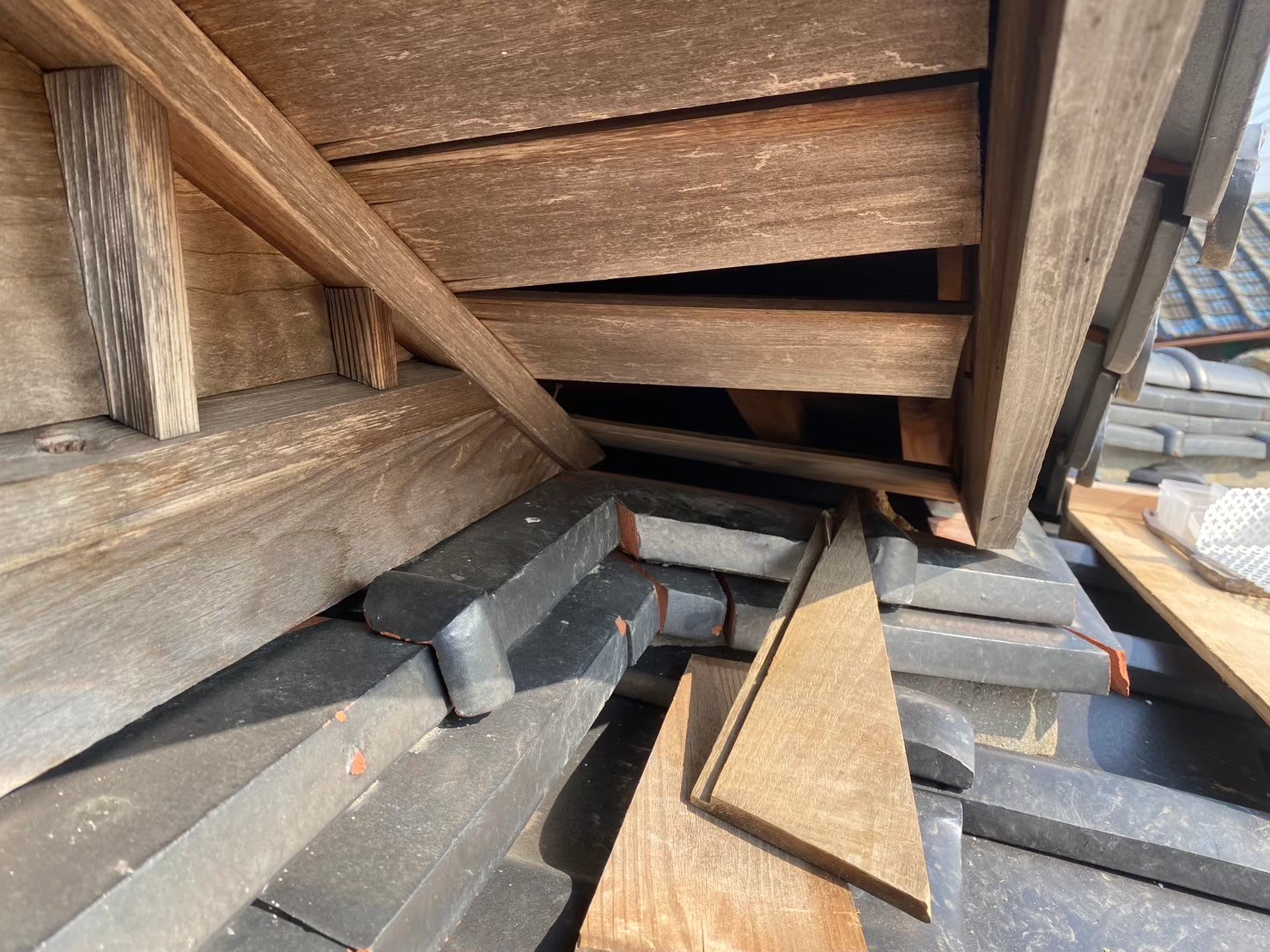 福岡県糸島市　アライグマによる被害　H様邸　駆除実績