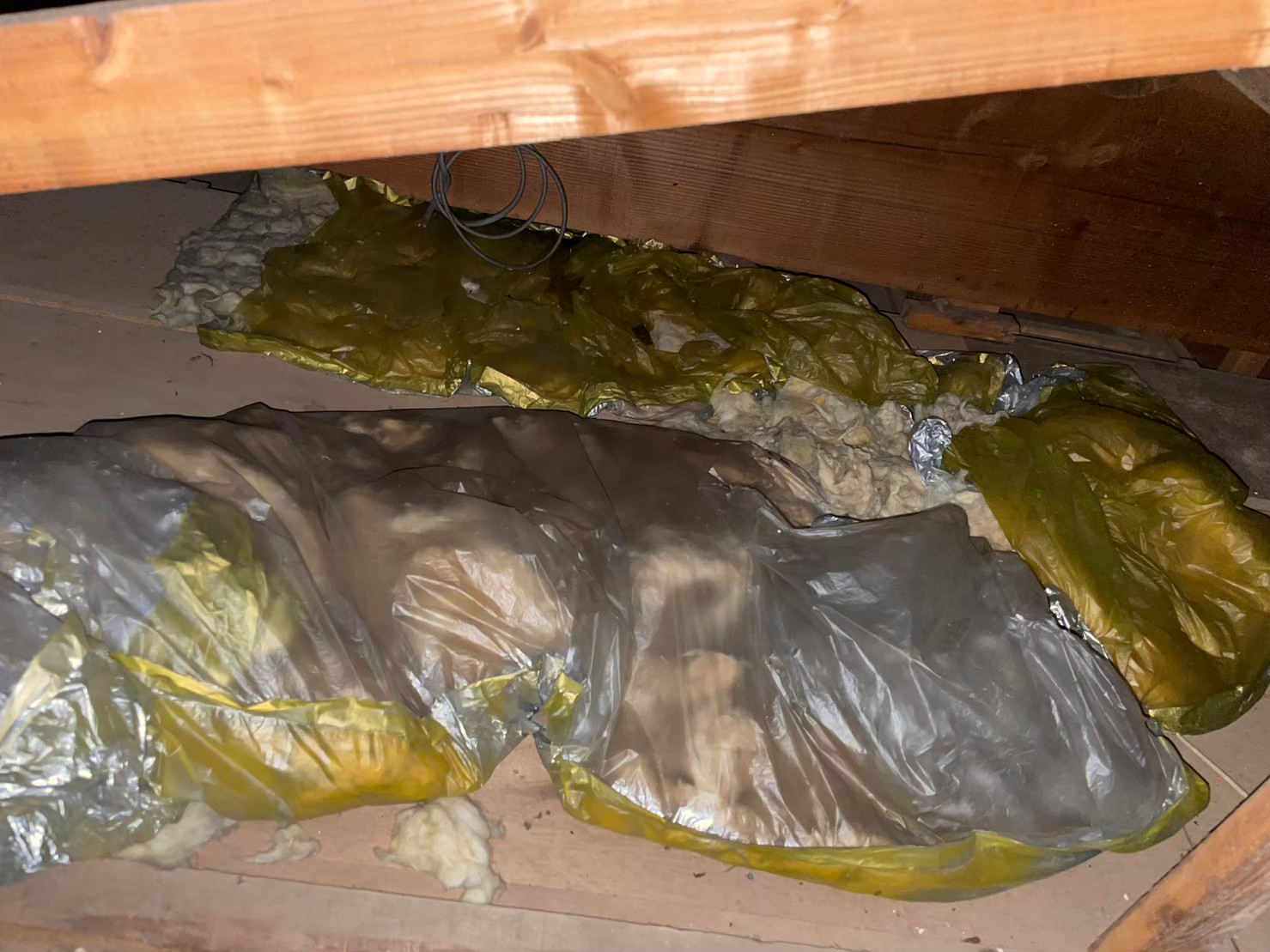 福岡県大野城市　イタチによる被害　T様邸　駆除実績