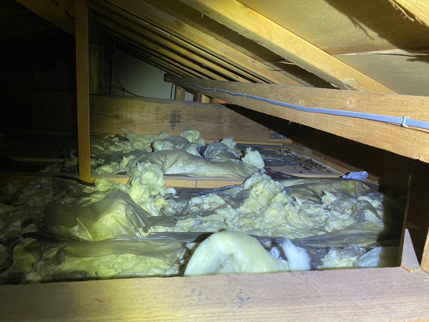 佐賀県唐津市　ネズミによる被害　H様邸　駆除実績