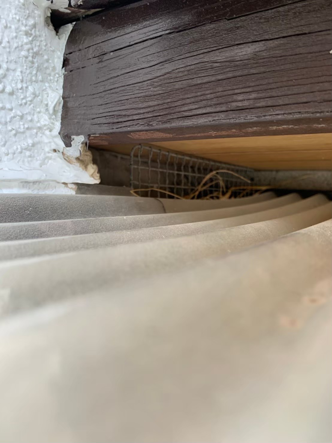 コウモリによる被害　S様邸　駆除実績