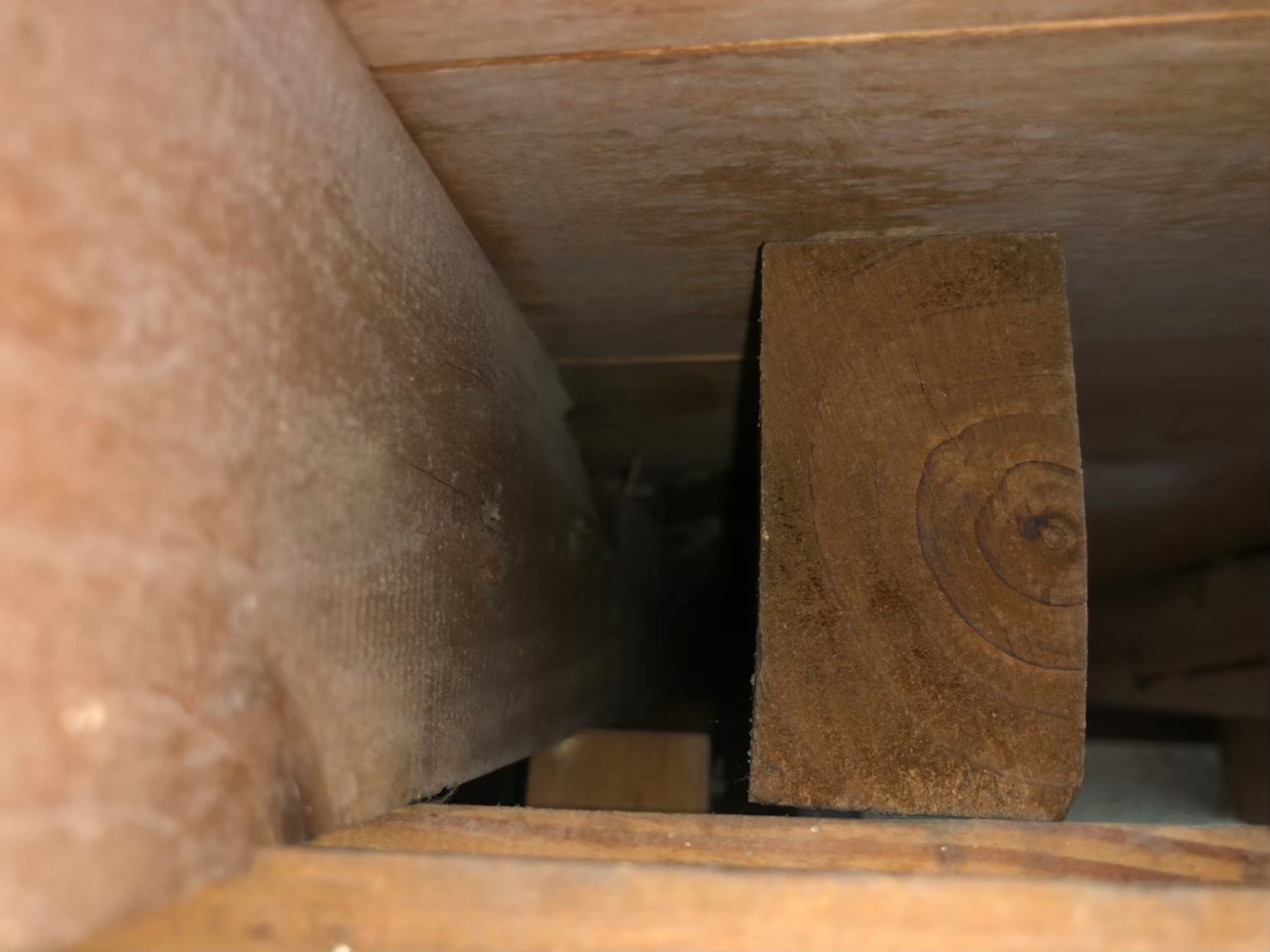 福岡県春日市　ネズミによる被害　K様邸　駆除実績