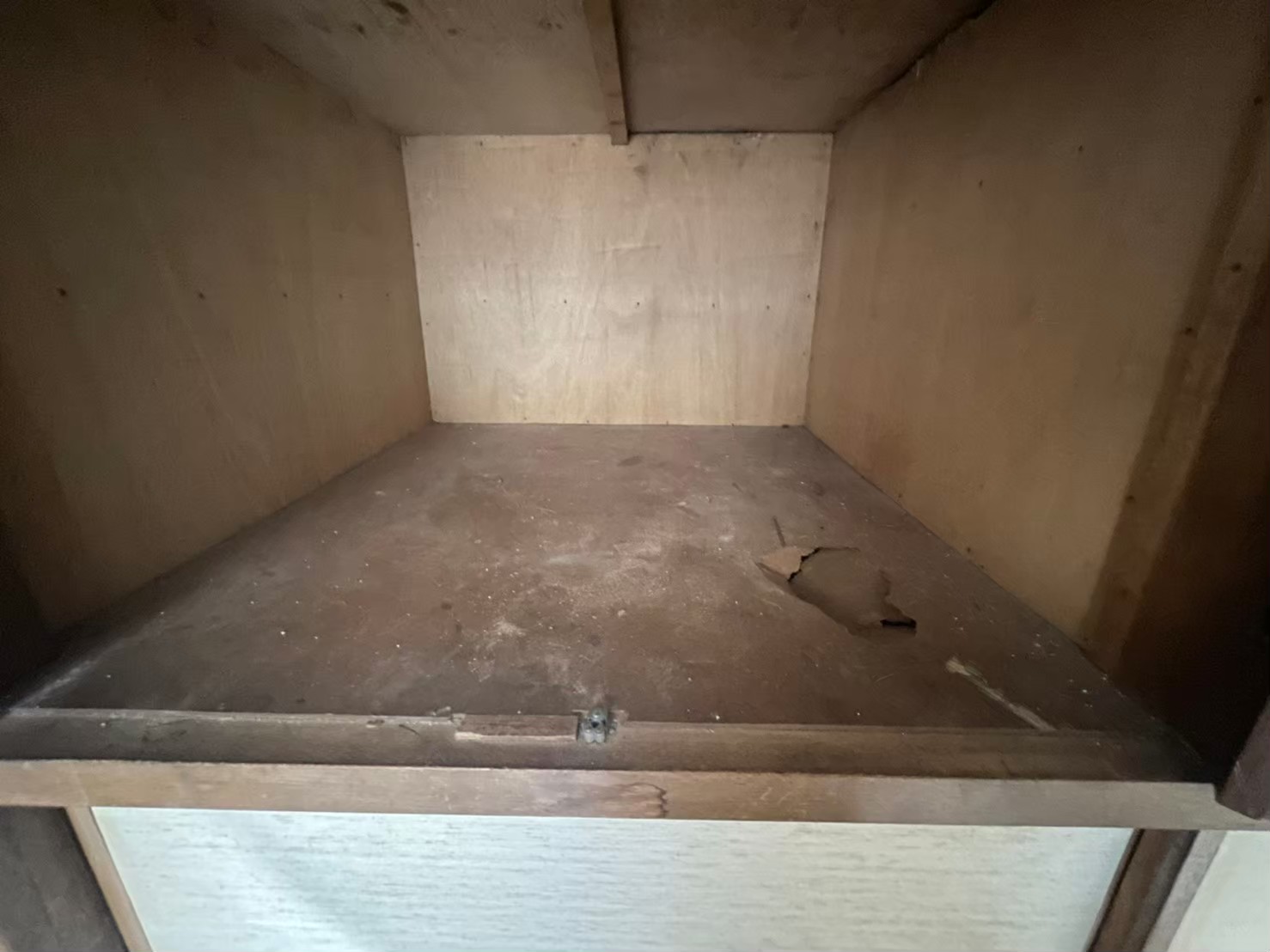 佐賀県伊万里市　アライグマによる被害　K様邸　駆除実績