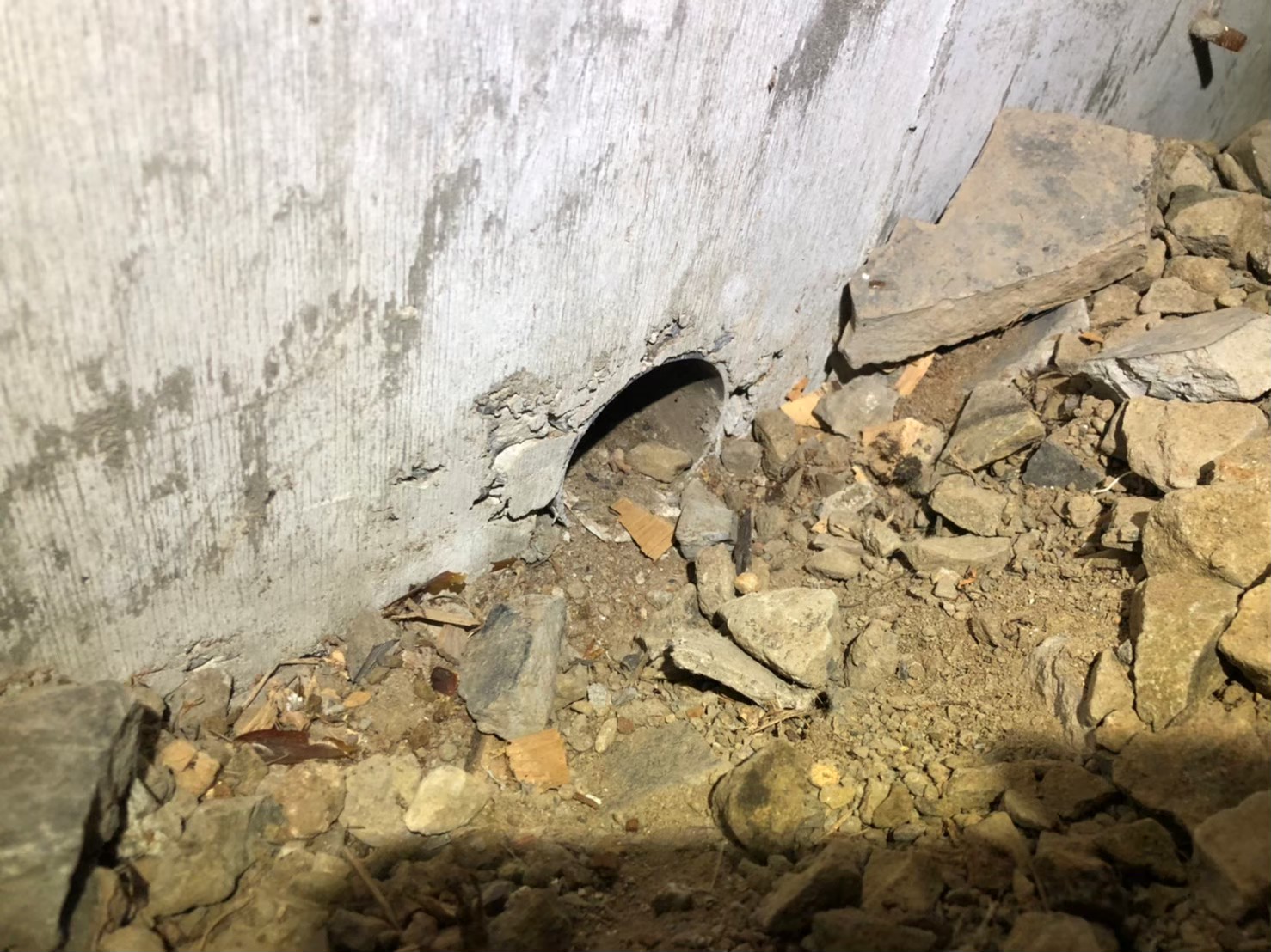 福岡県柳川市　ネズミによる被害　M様邸　駆除実績