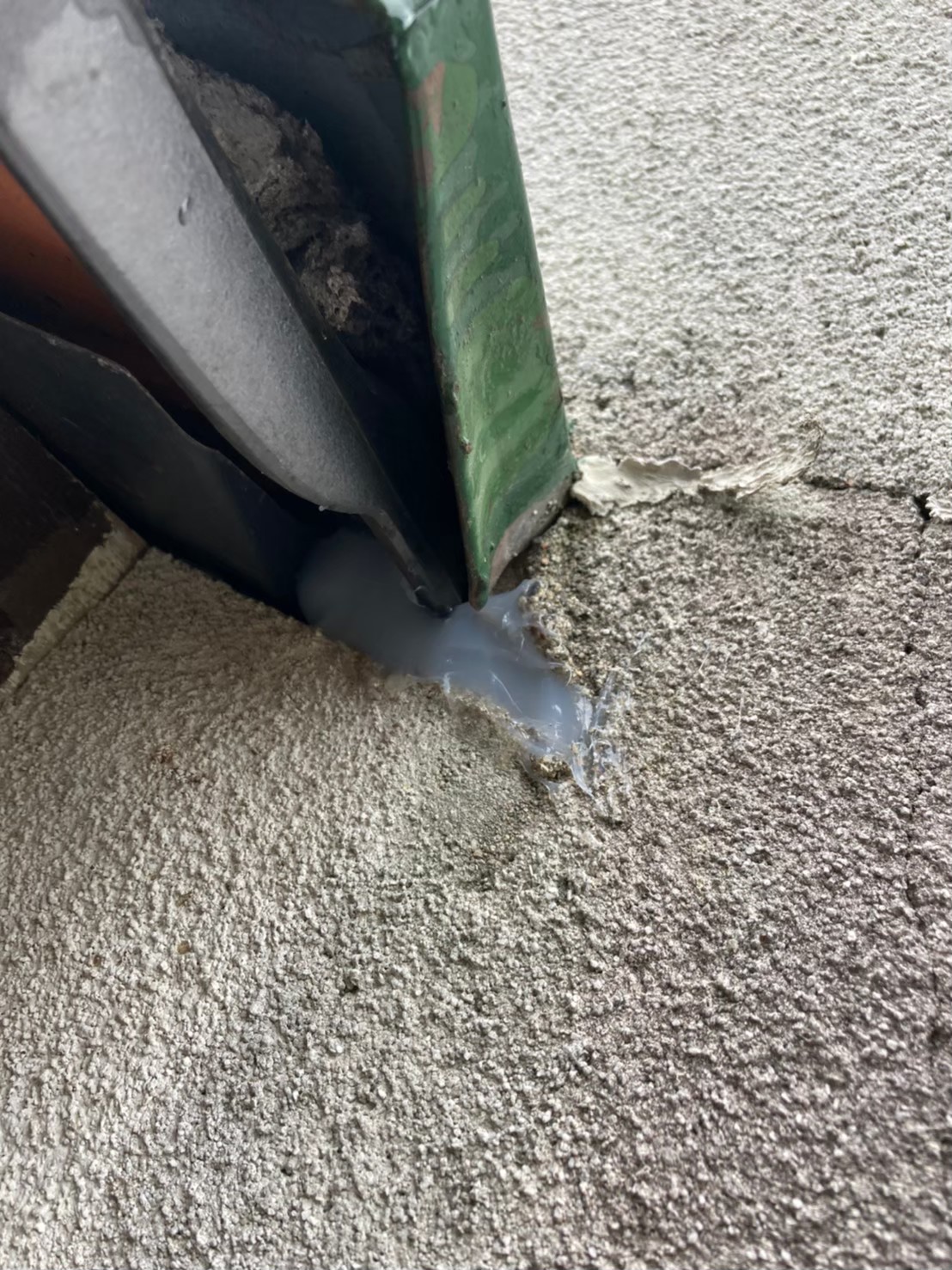 ネズミによる被害　O様邸　駆除実績