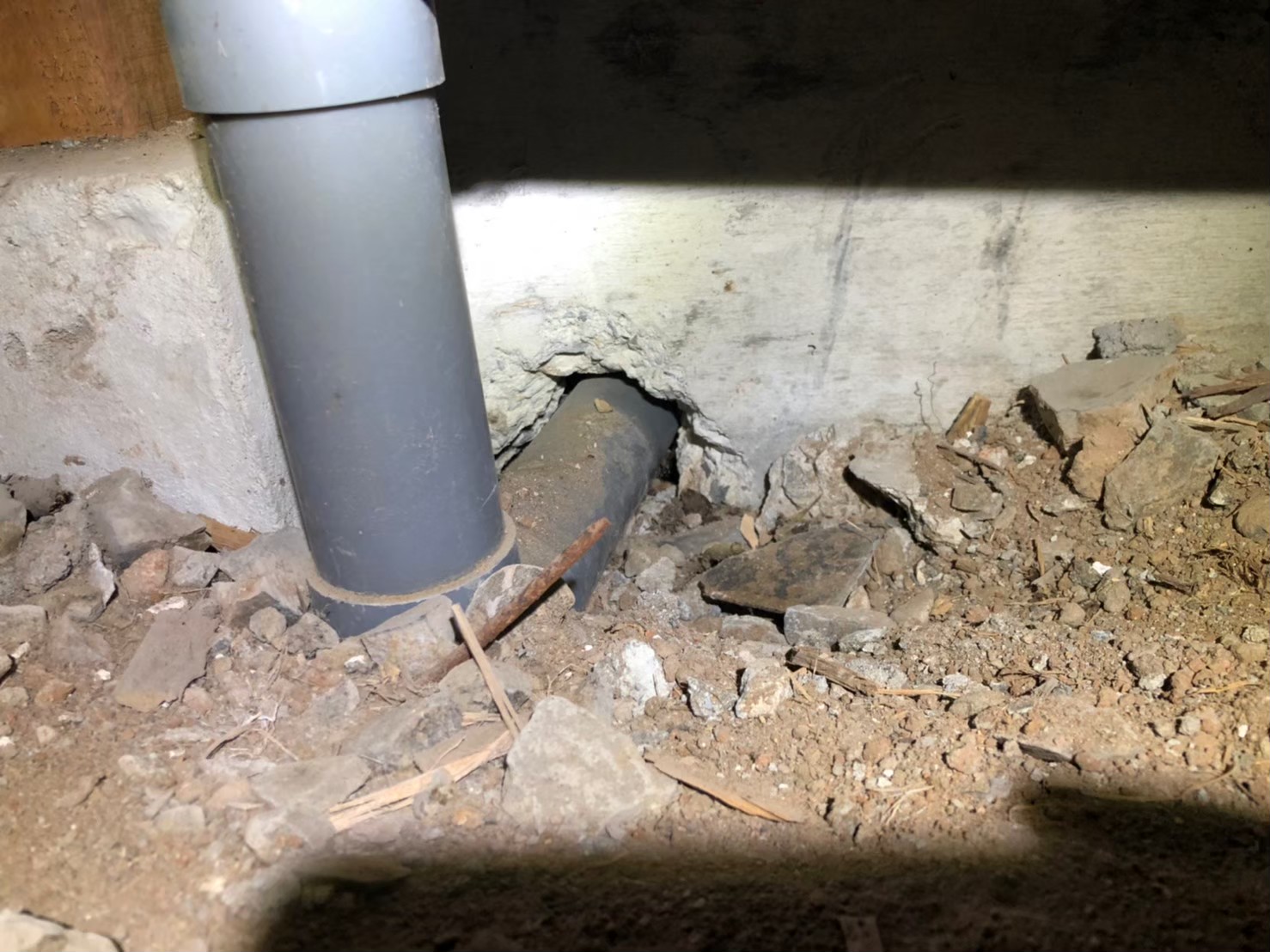 福岡県行橋市　ネズミによる被害　A様邸　駆除実績