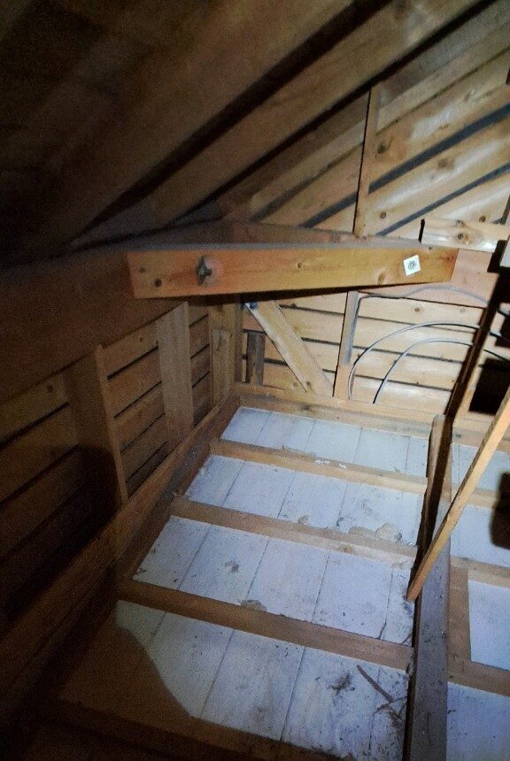 佐賀県鳥栖市　イタチによる被害　N様邸　駆除実績