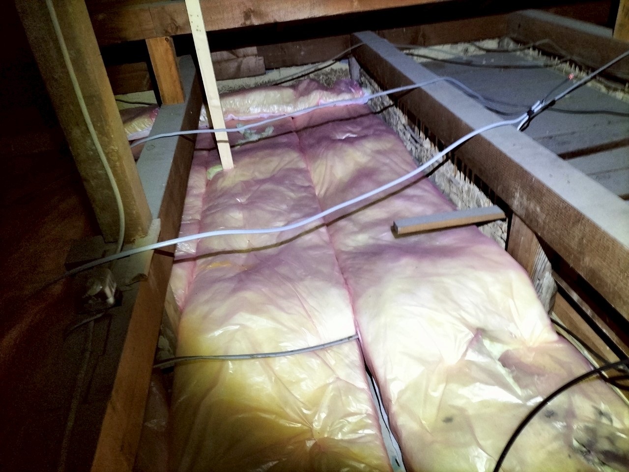 佐賀県唐津市　イタチによる被害　Y様邸　駆除実績