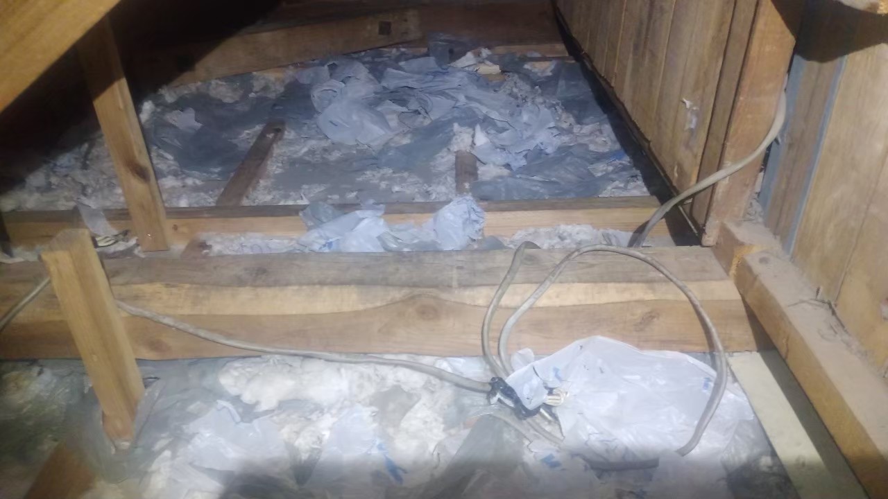 福岡県柳川市　アライグマによる被害　E様邸　駆除実績