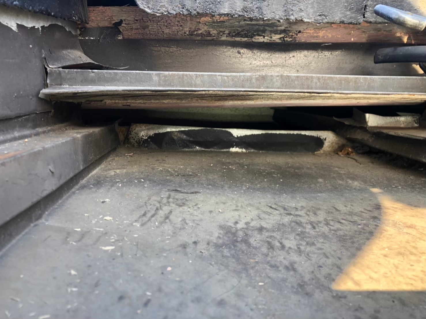 イタチによる被害　D様邸　駆除実績