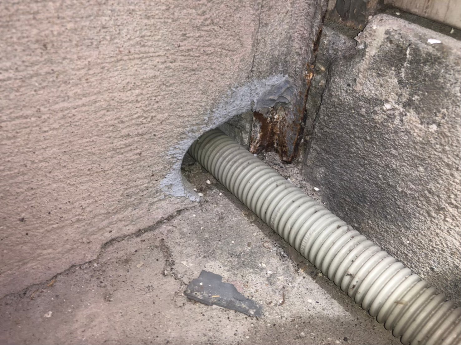 佐賀県小城市　ネズミによる被害　M様邸　駆除実績