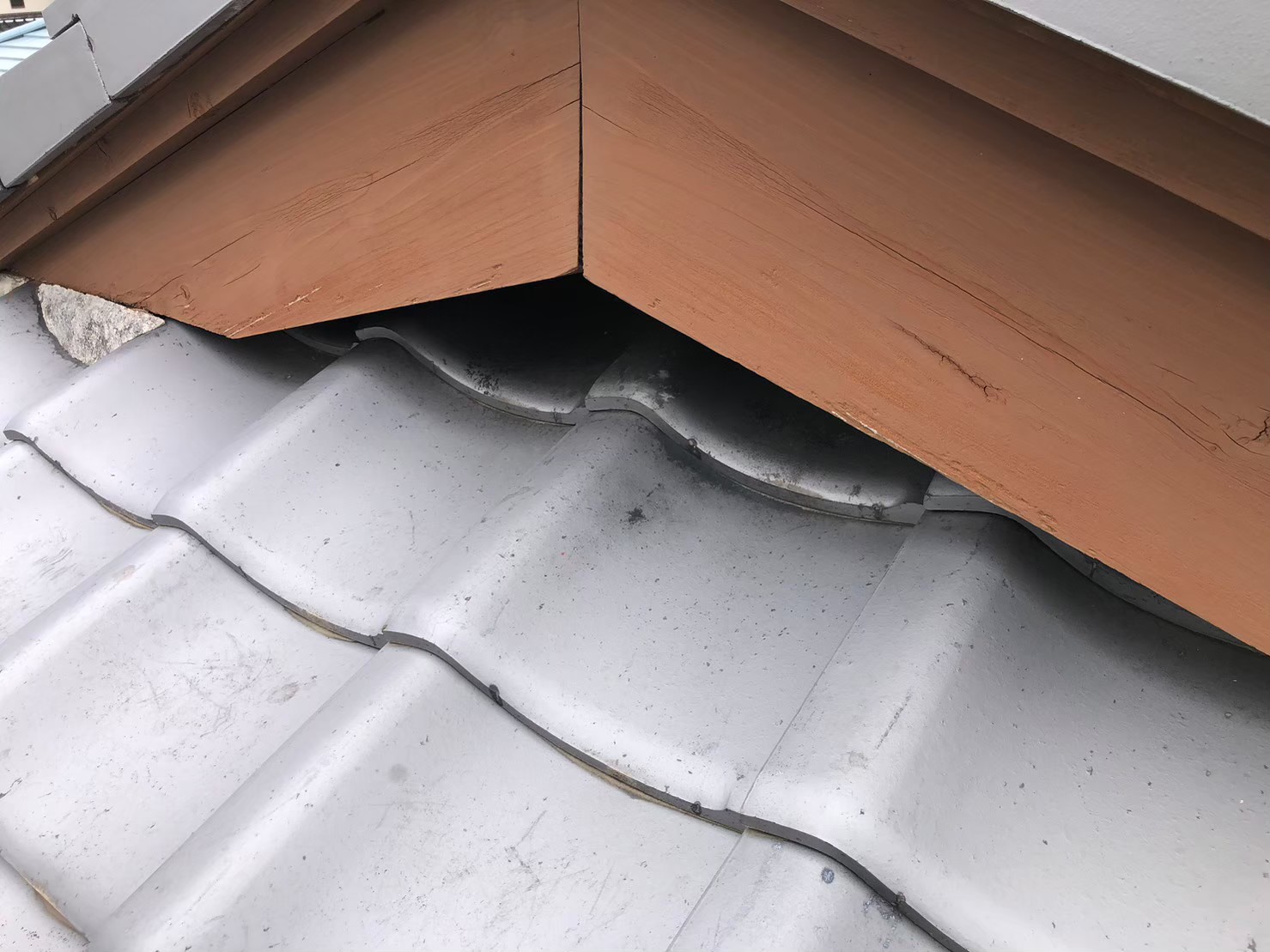 佐賀県唐津市　アライグマによる被害　I様邸　駆除実績