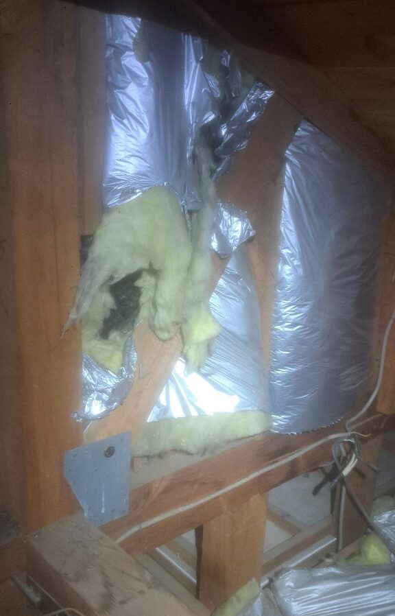 福岡県大野城市　ネズミによる被害　H様邸　駆除実績