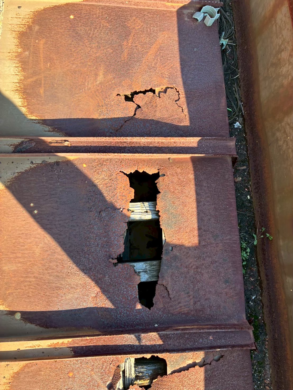 佐賀県鳥栖市　アライグマによる被害　H様邸　駆除実績