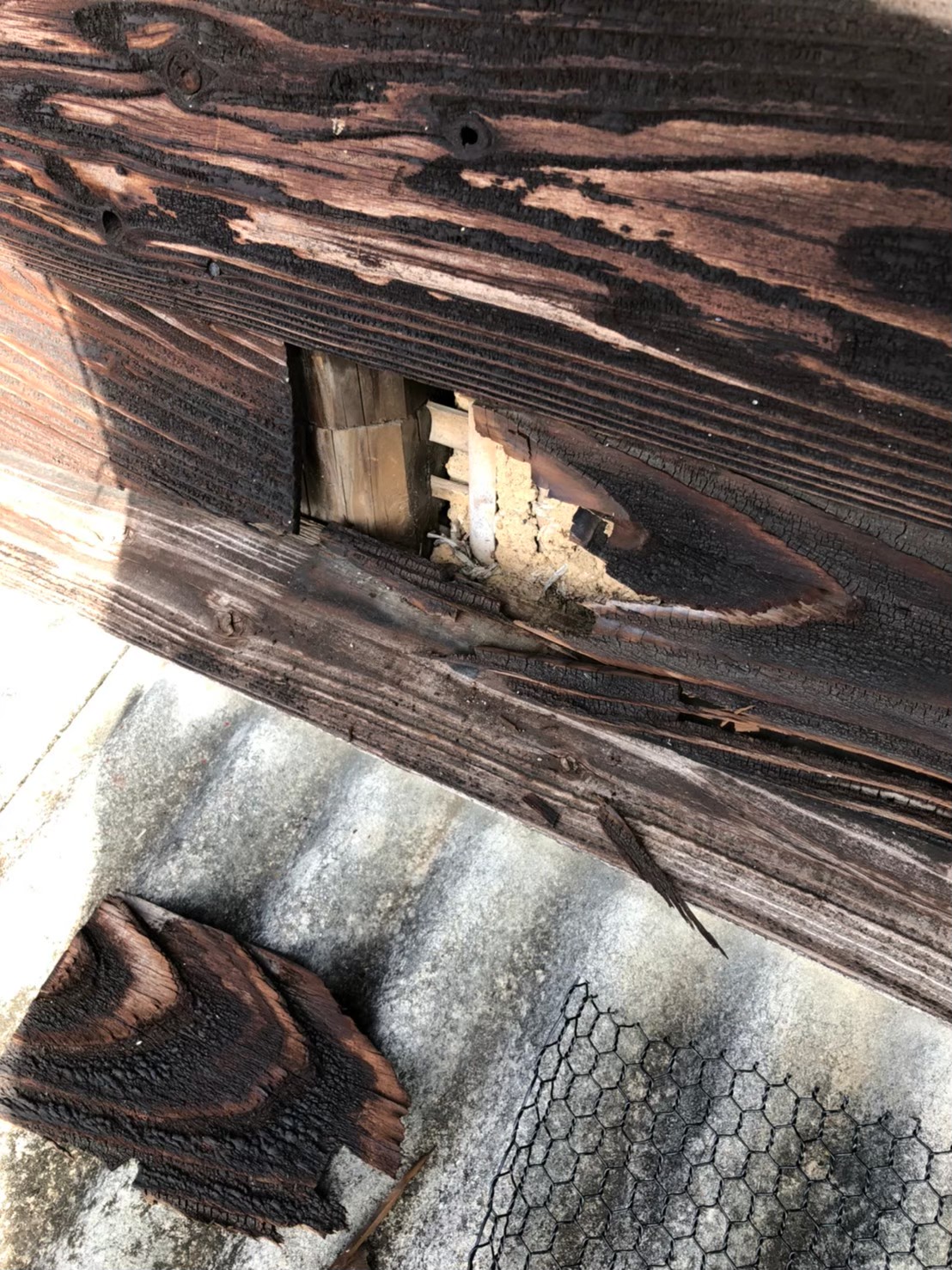 福岡県筑紫野市　イタチによる被害　T様邸　駆除実績