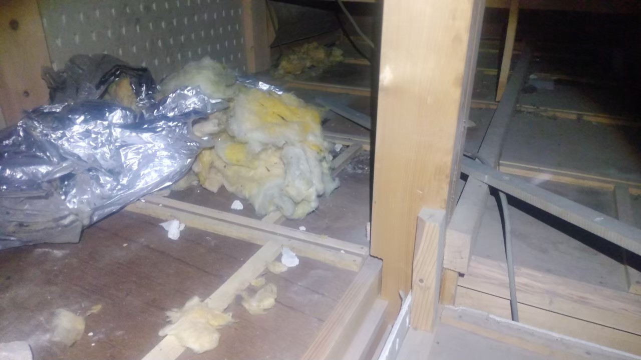 佐賀県唐津市　アライグマによる被害　N様邸　駆除実績