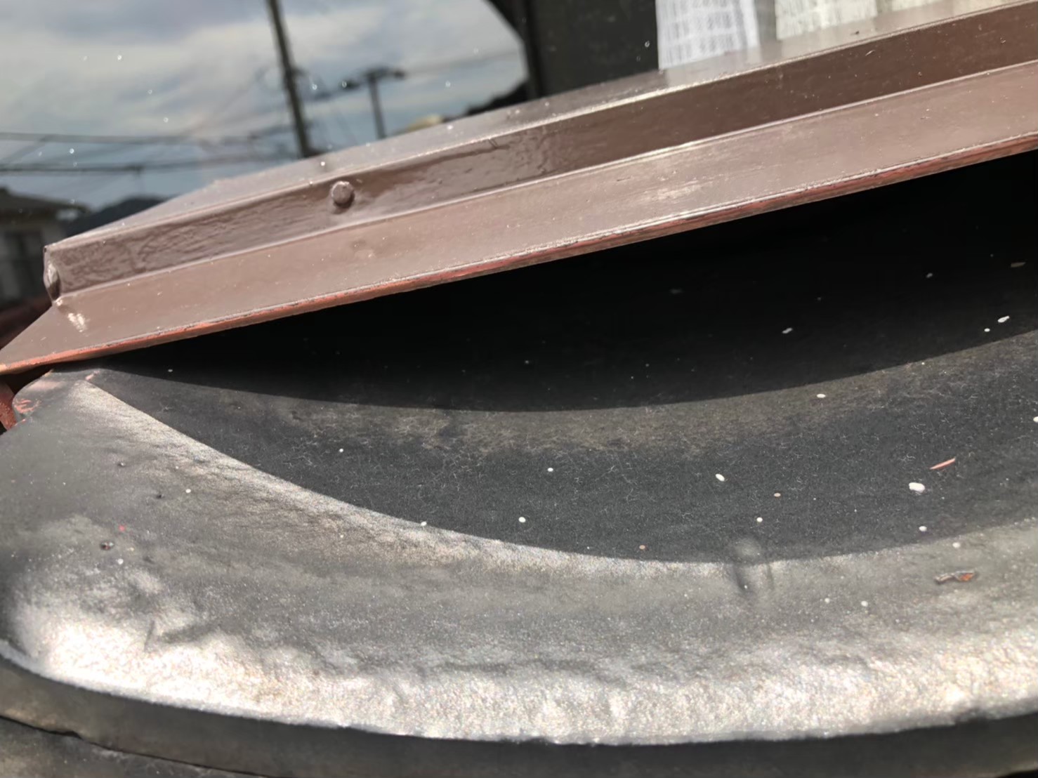 コウモリによる被害　S様邸　駆除実績