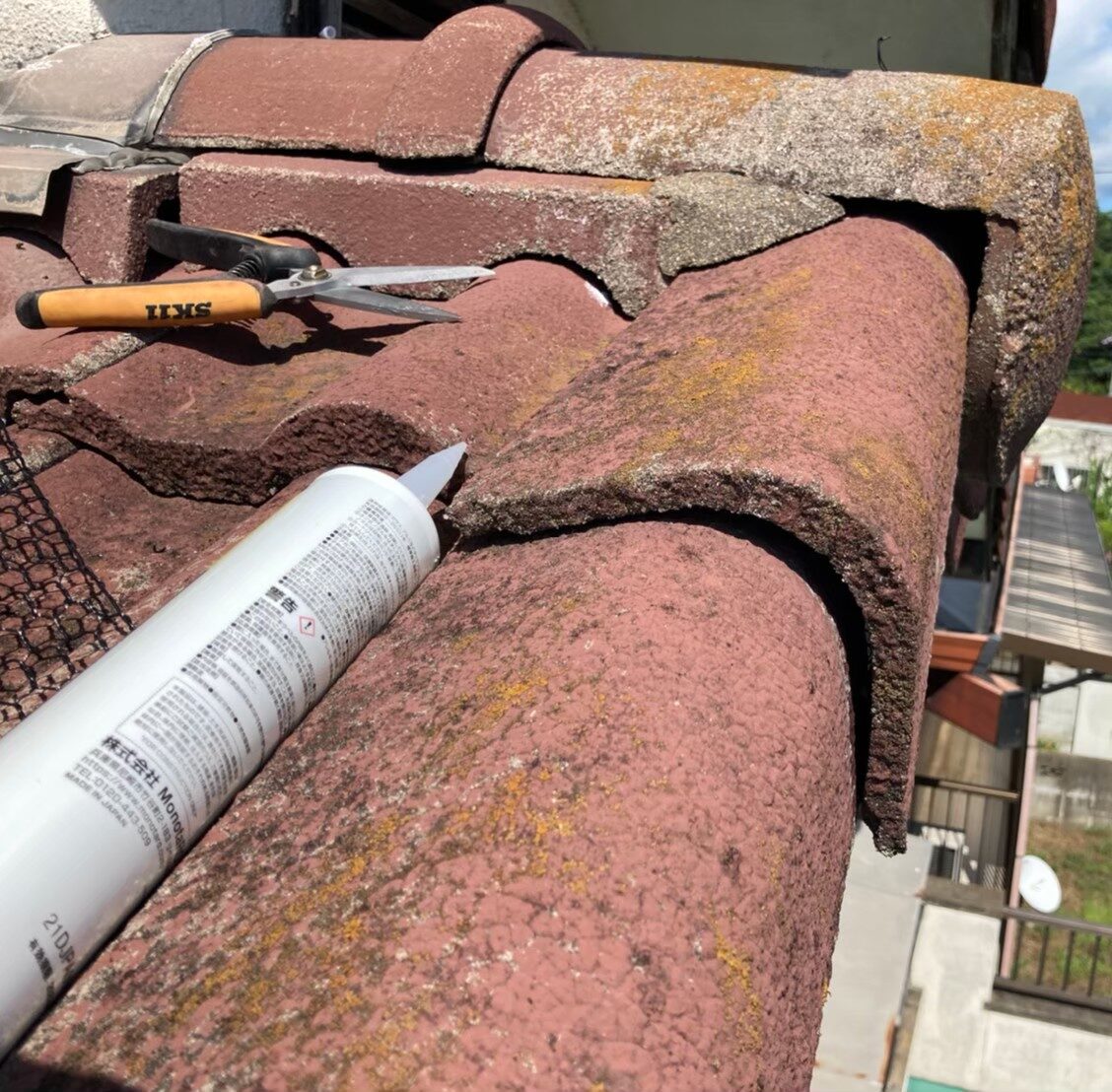 イタチによる被害　S様邸　駆除実績