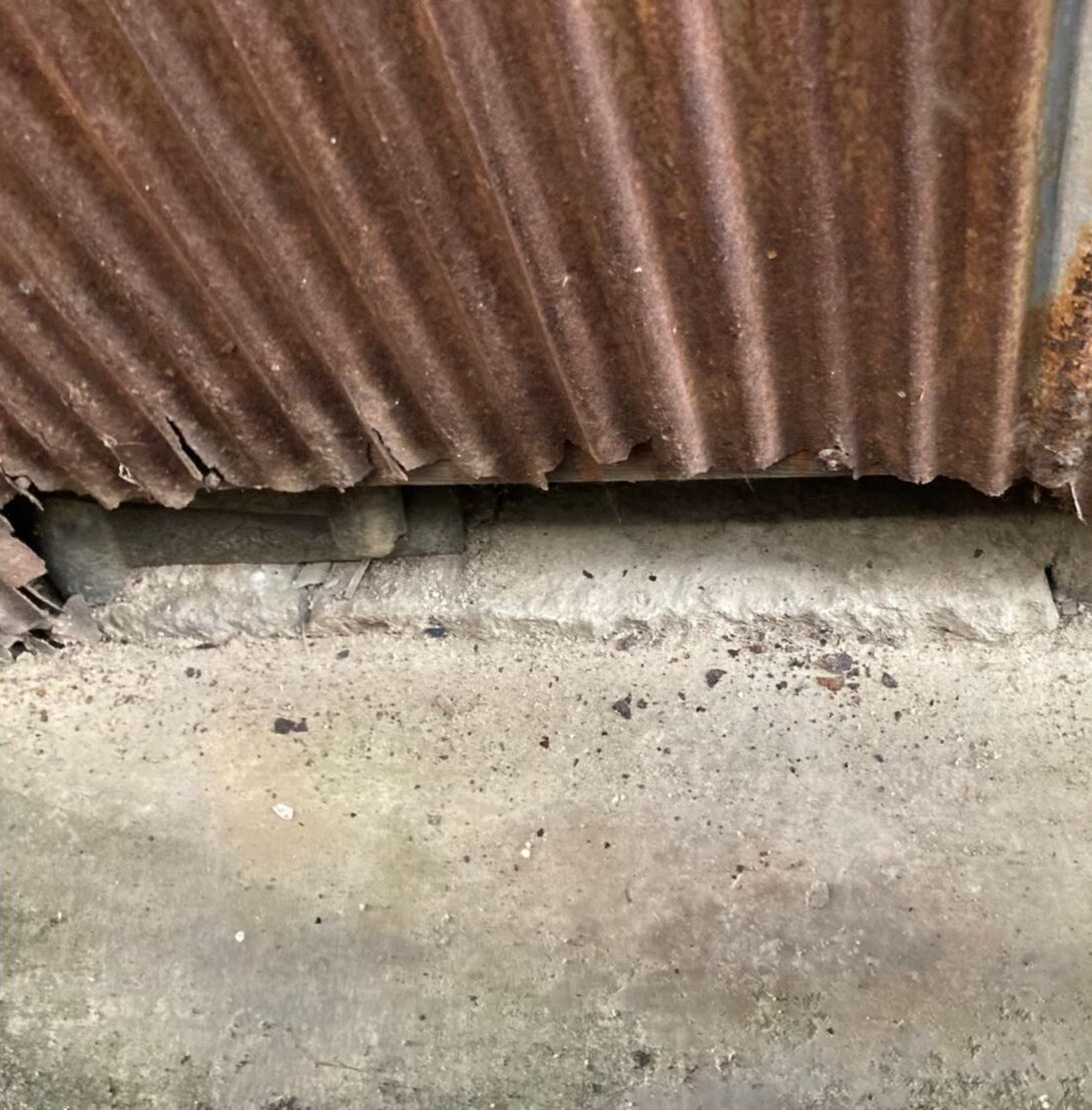 アライグマによる被害　Y様邸　駆除実績