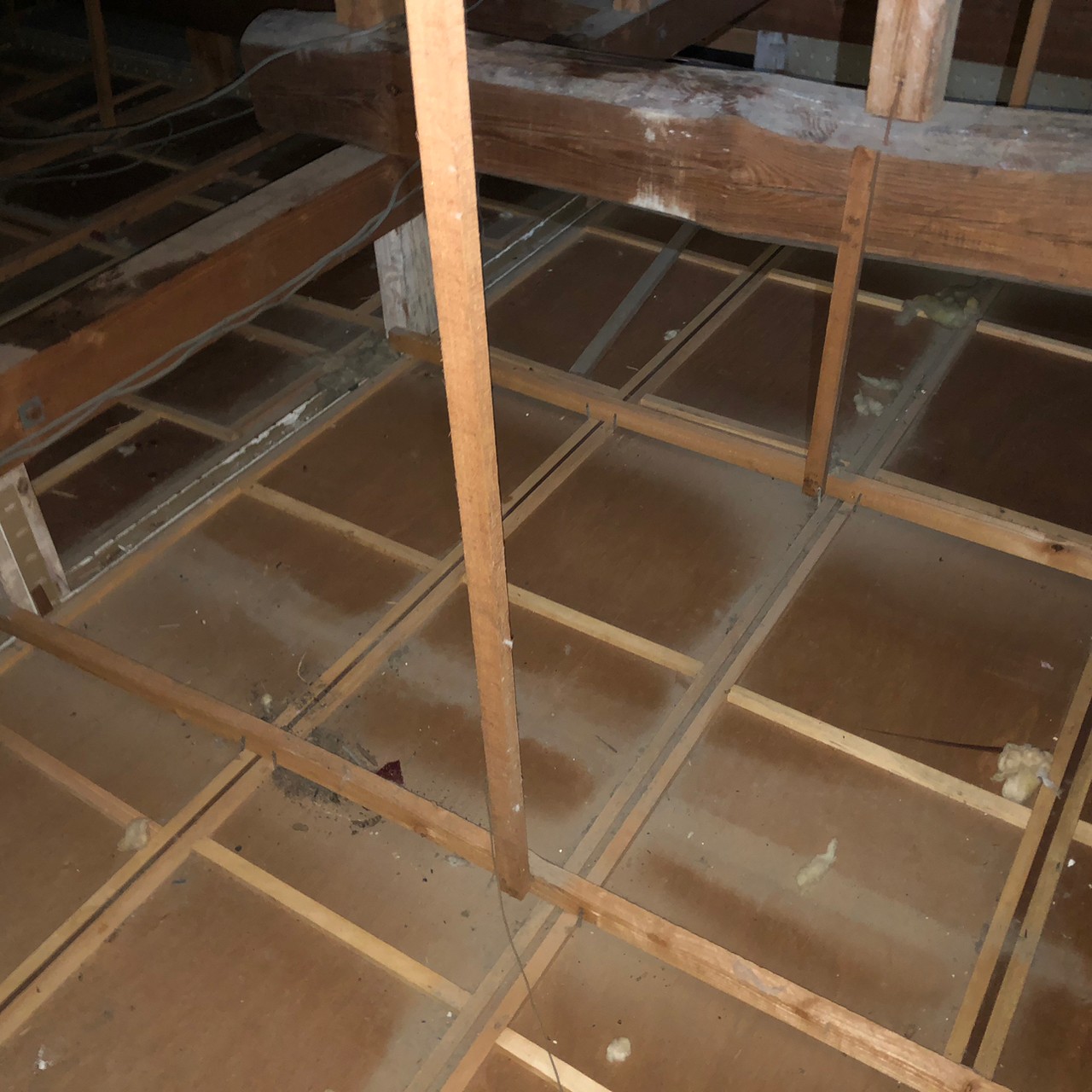 佐賀県有田町　イタチによる被害　O様邸　駆除実績