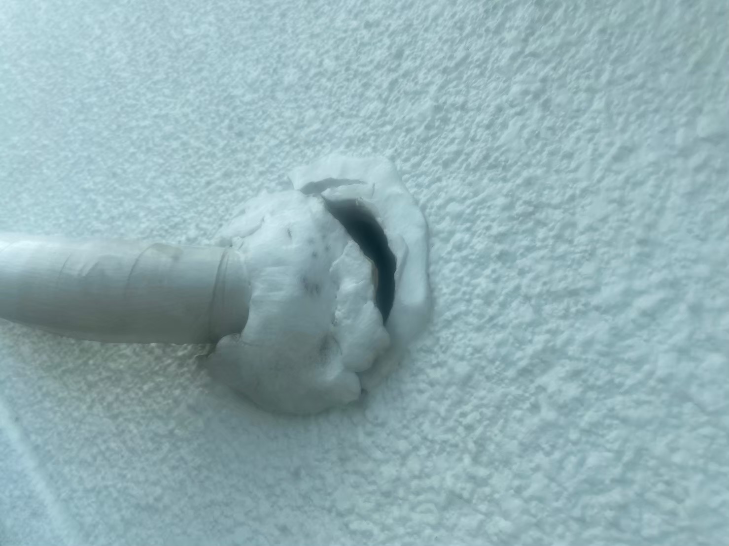 福岡県柳川市　ネズミによる被害　K様邸　駆除実績