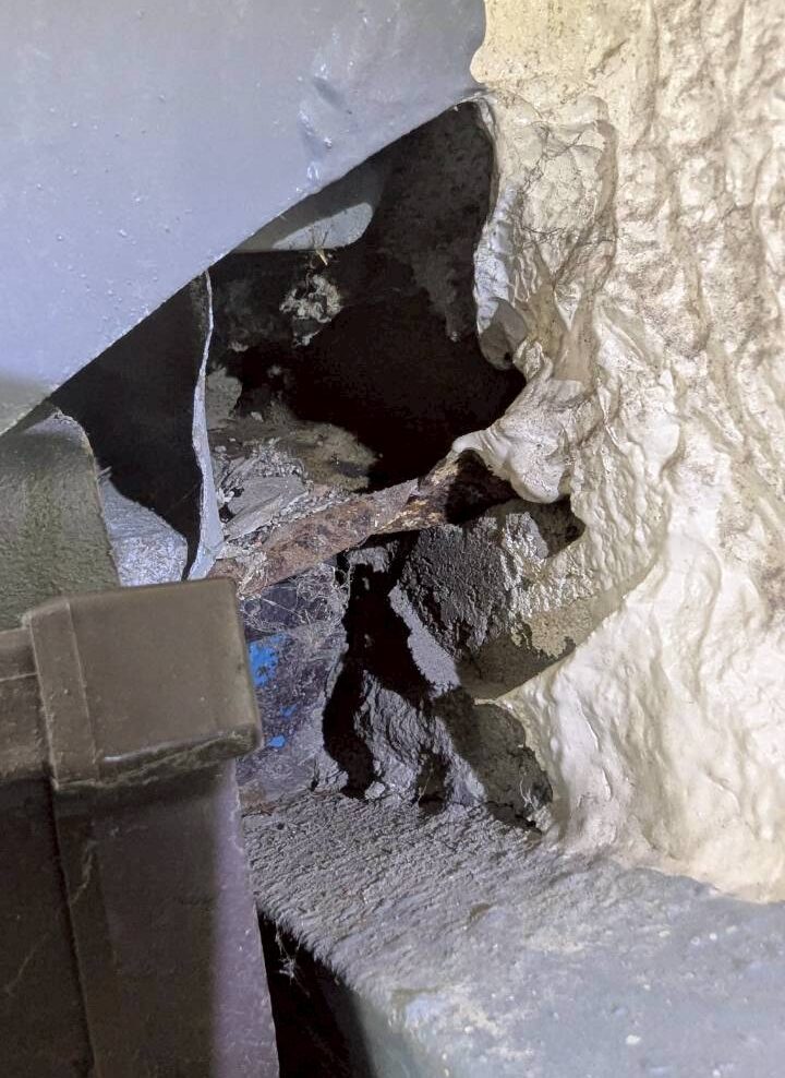 福岡県太宰府市　アライグマによる被害　T様邸　駆除実績