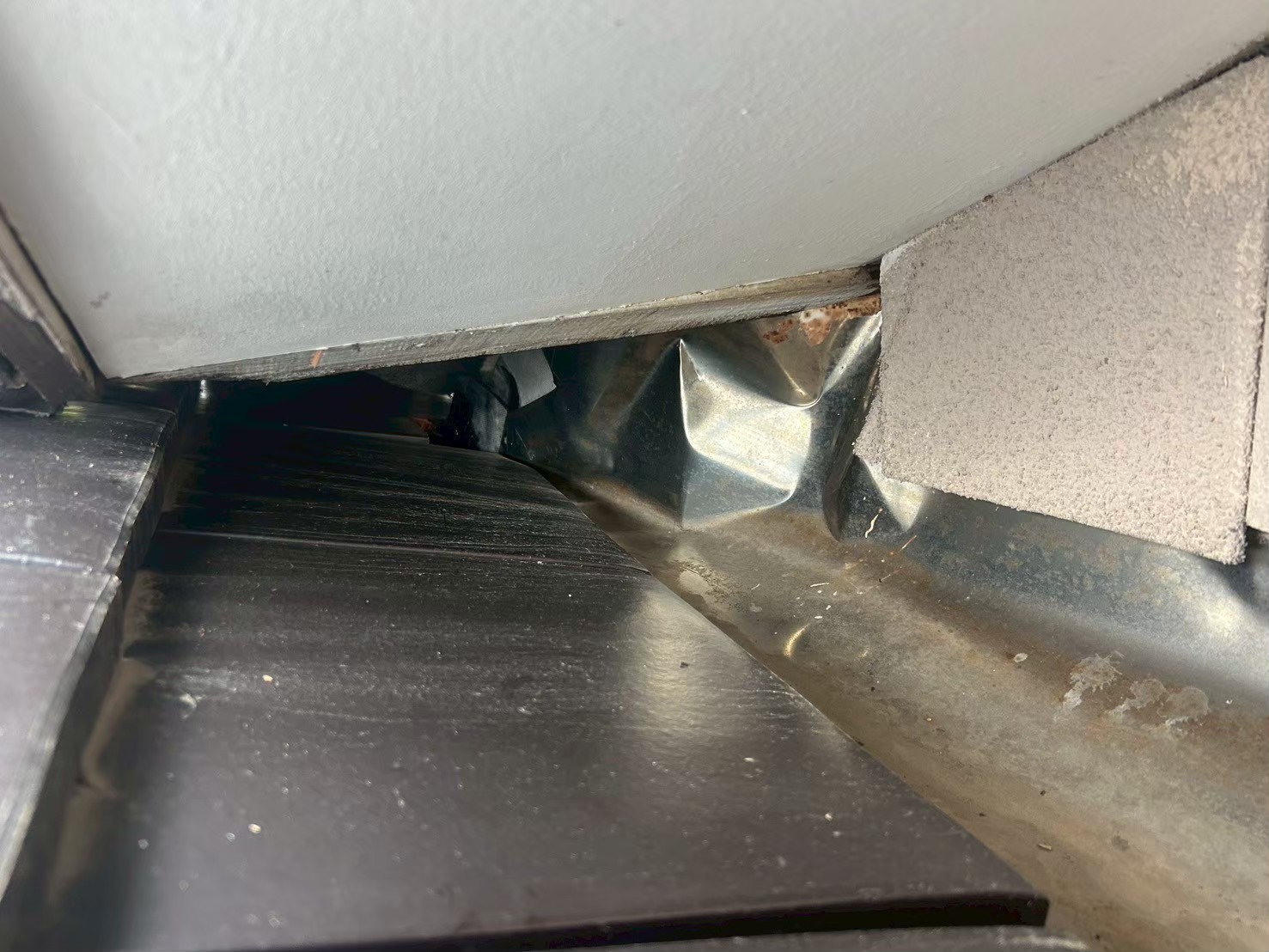 佐賀県鳥栖市　アライグマによる被害　N様邸　駆除実績