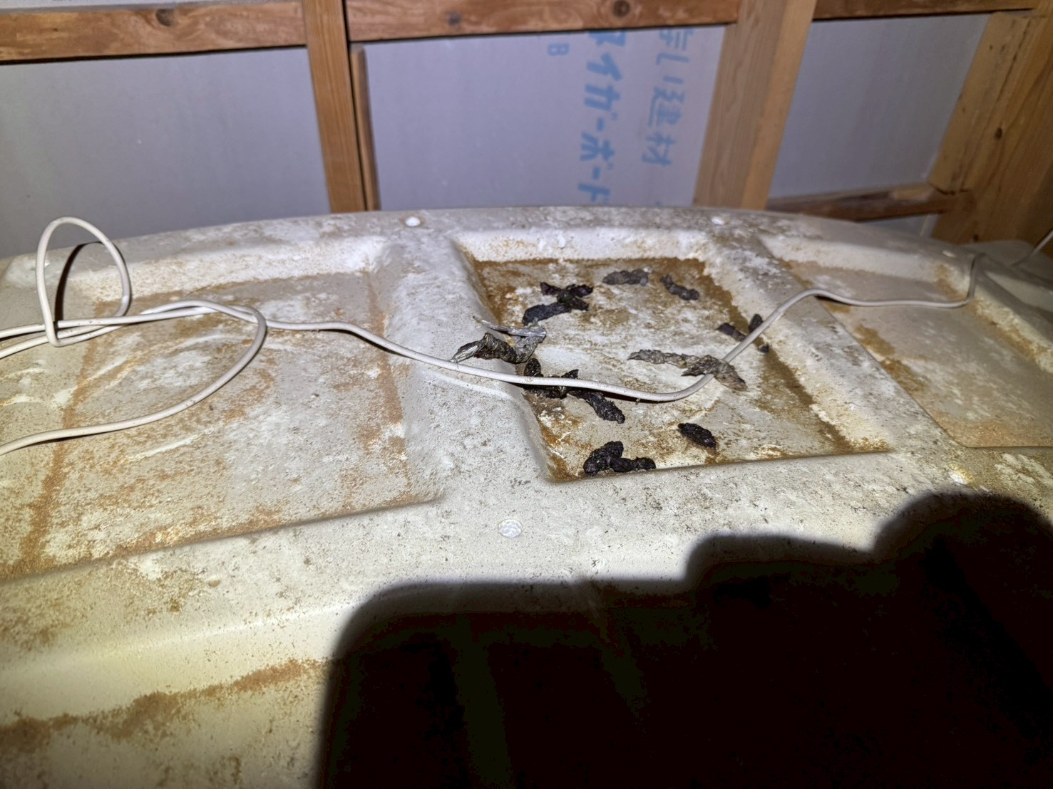 福岡県糟屋郡篠栗町　イタチによる被害　H様邸　駆除実績