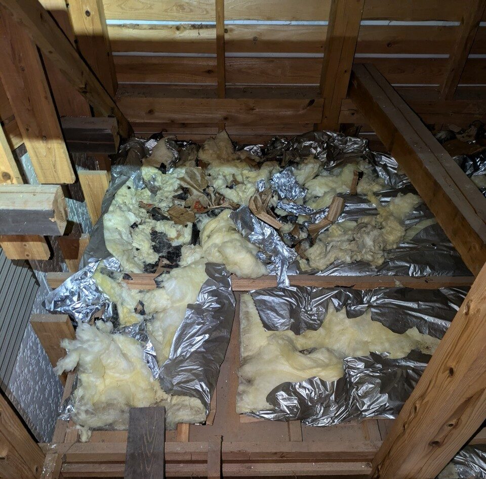 福岡県糸島市　イタチによる被害　W様邸　駆除実績