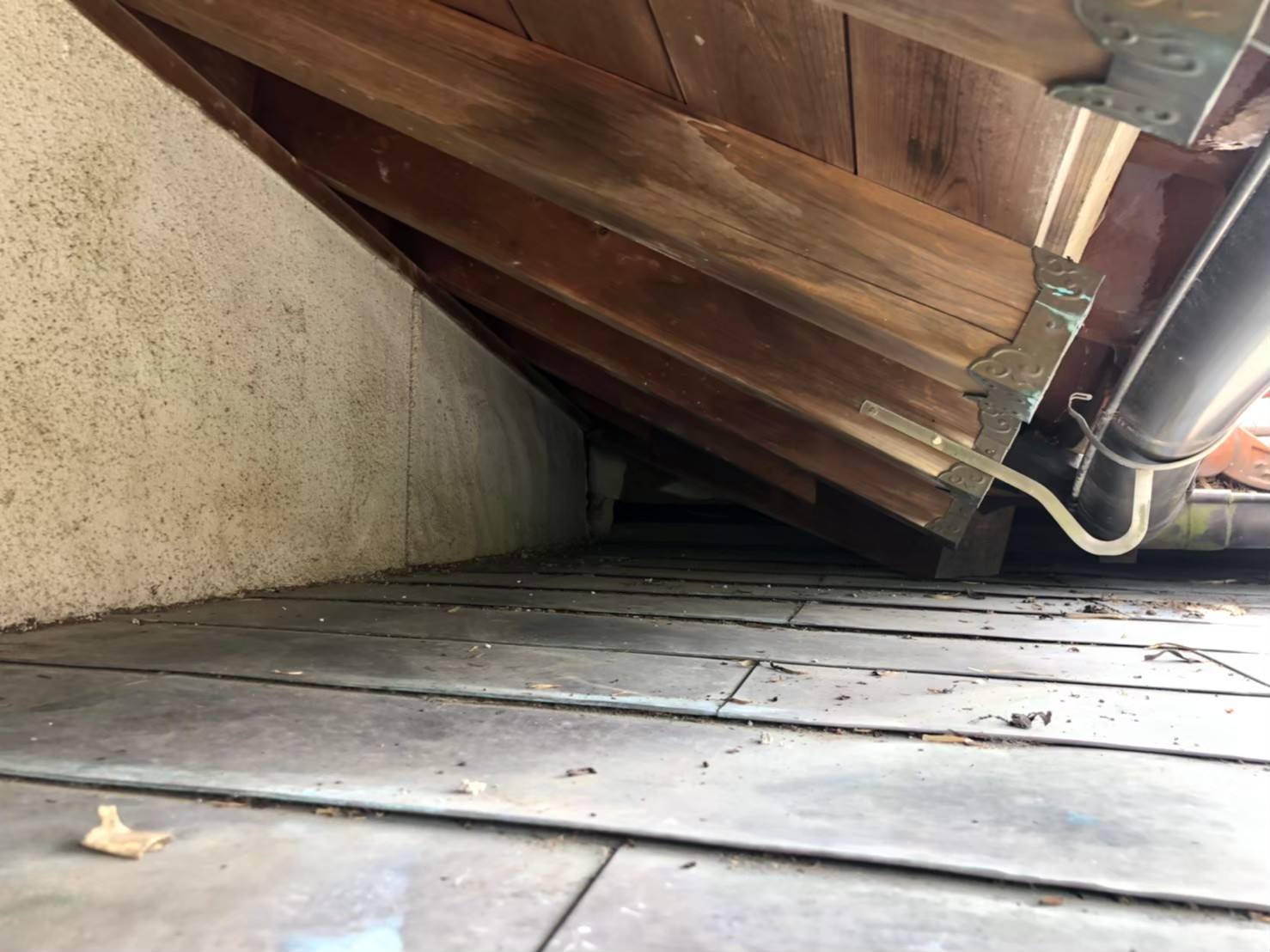 福岡県久留米市　アライグマによる被害　U様邸　駆除実績