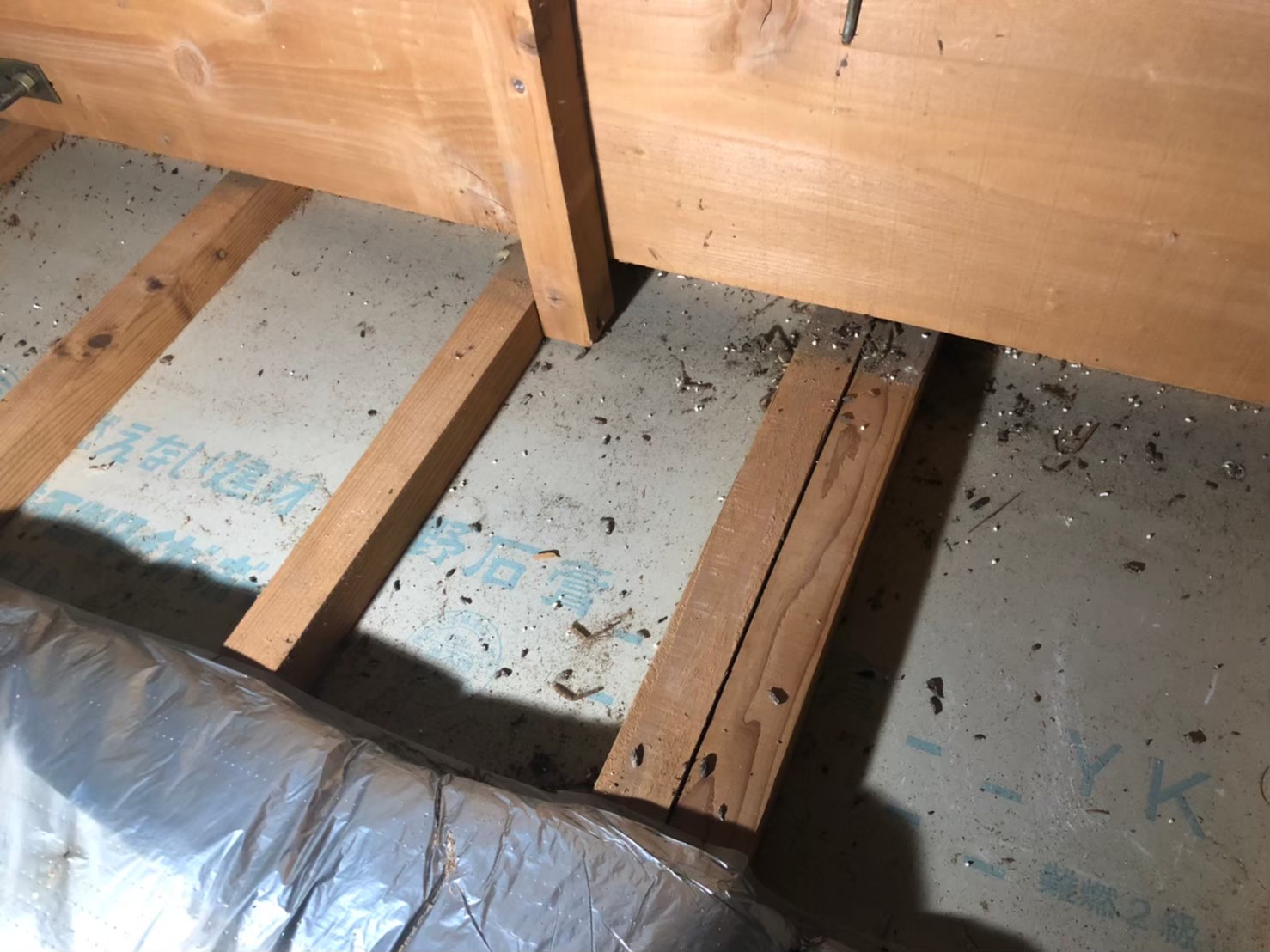 福岡県大野城市　ネズミによる被害　M様邸　駆除実績