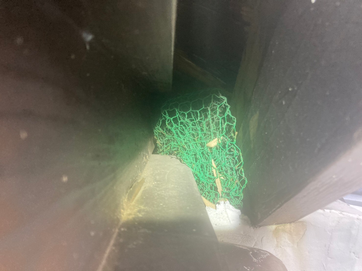 佐賀県多久市　イタチによる被害　A様邸　駆除実績